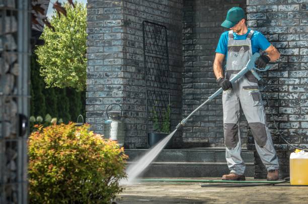 Animal Enclosure Cleaning in Lake Royale, NC