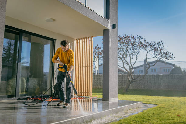 Best Driveway Pressure Washing  in Lake Royale, NC